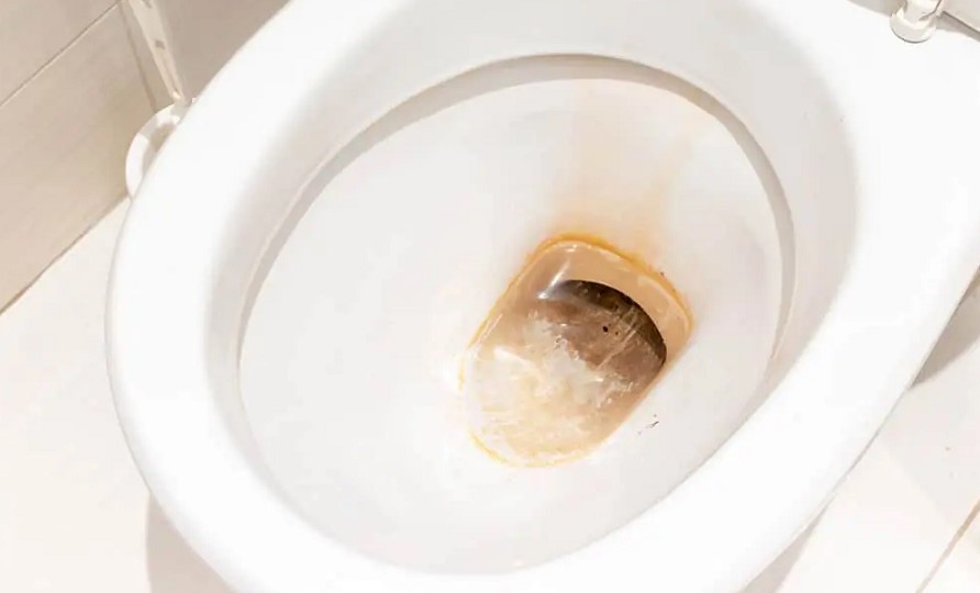 how to clean the ring around the toilet