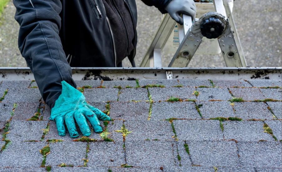 Clean roof shingles: a guidance