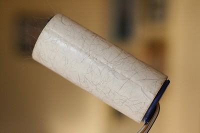 sticky lint roller charged with fur